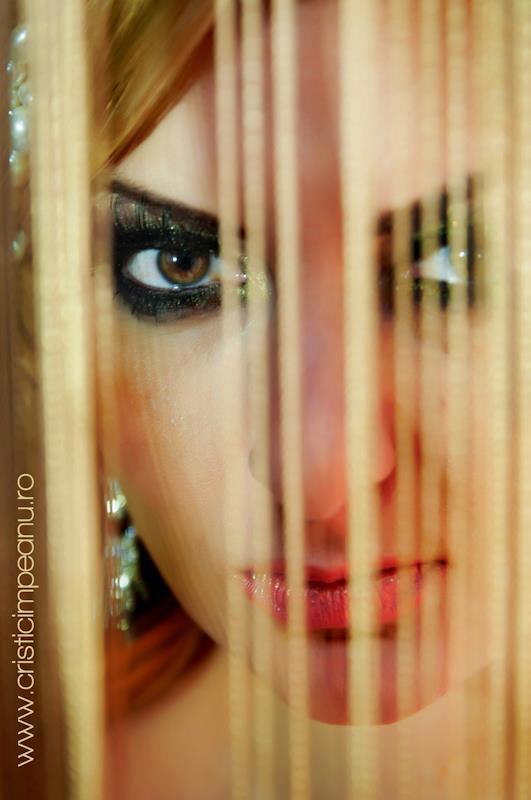 11744_609847645709974_525360335_n