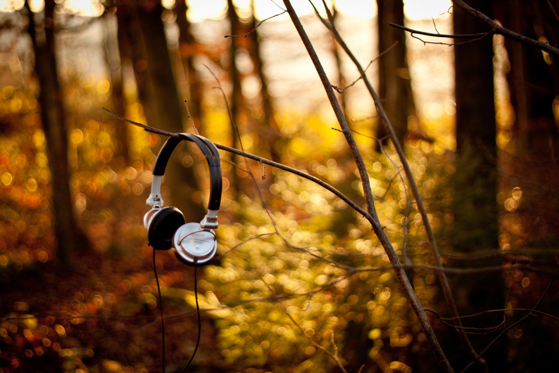 muzica-naturii2